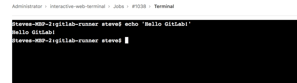 A command being executed on a job's terminal page